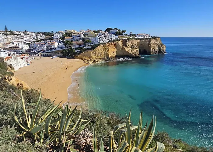 7a * 카르보에이루